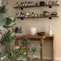 HAELANboutiqueSPA ico