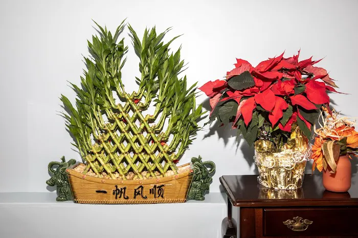 Zen Massage & Head Spa 86 5