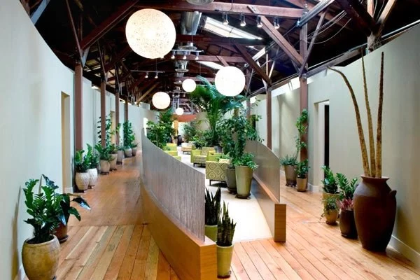 How to Find Eco-Friendly Spas Near Me and Relax Sustainably